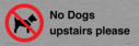 no-dogs-upstairs-please-~